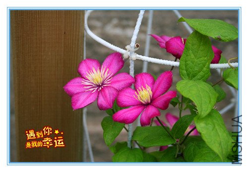 ��Ƭ 043_������2.jpg