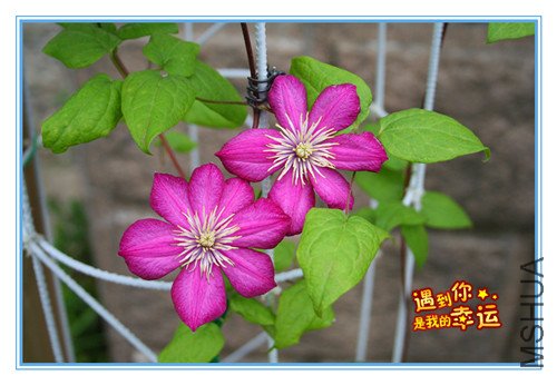 ��Ƭ 041_������1.jpg