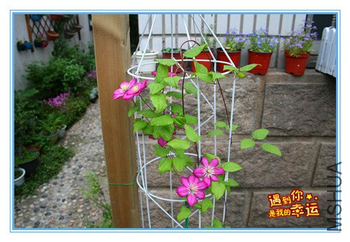 ��Ƭ 048_������3.jpg