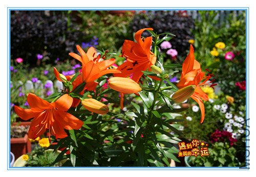 ��Ƭ 009_����2_����.jpg