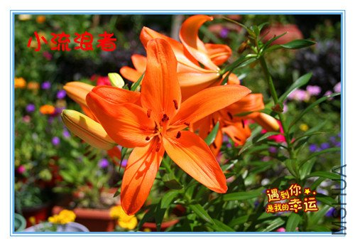 ��Ƭ 011_����3_����.jpg