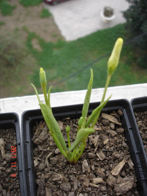 DSC03057.JPG