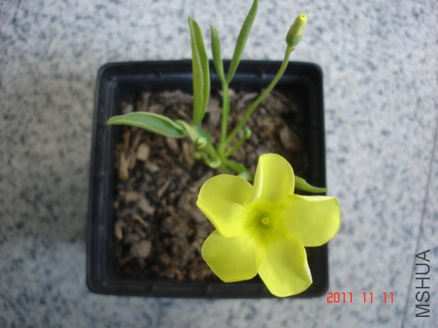 DSC03067.JPG