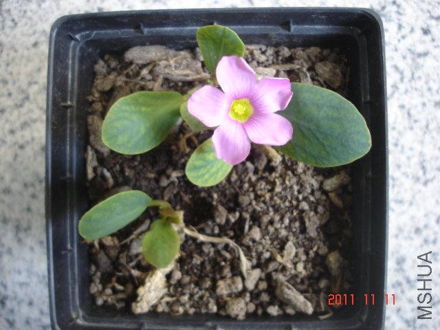 DSC03068.JPG