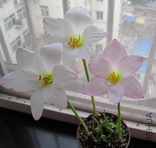 IMG_3420.JPG