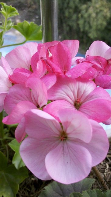 2012-04-04_15-20-40_42.jpg