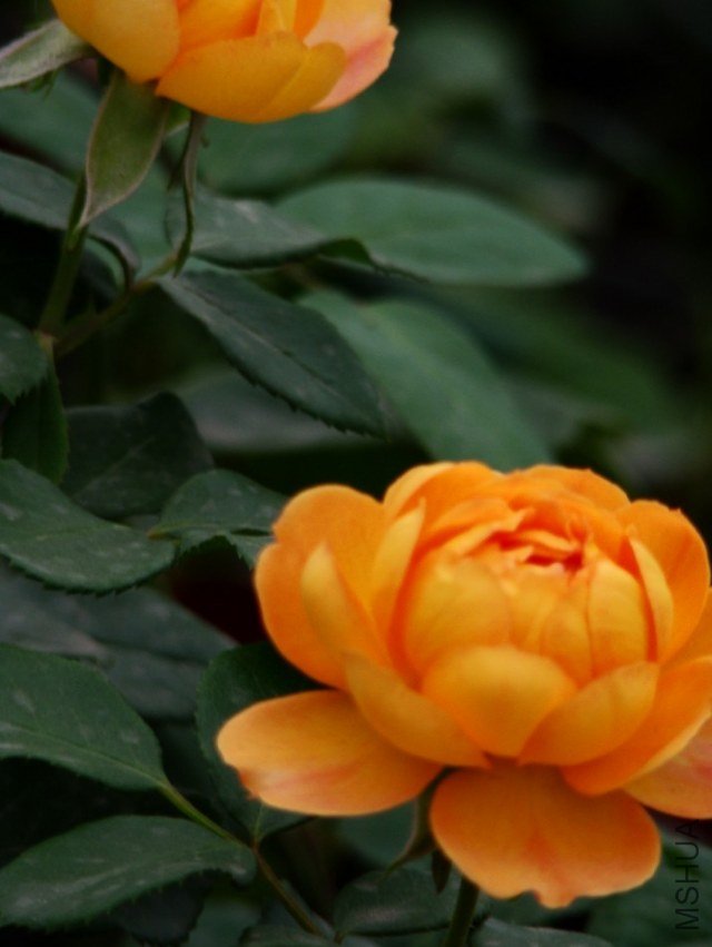 QQ��ͼ20120607191203.jpg