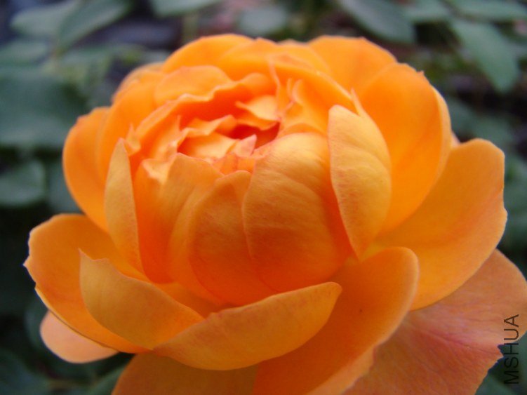 QQ��ͼ20120607190838.jpg