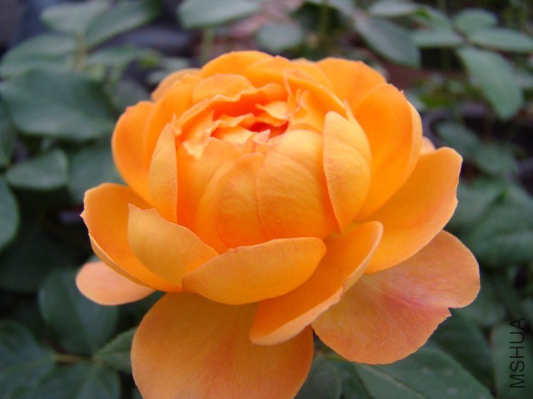 QQ��ͼ20120607190830.jpg