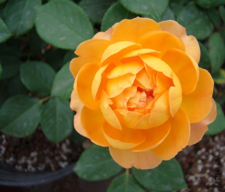 QQ��ͼ20120607190813.jpg