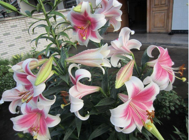 QQ��ͼ20120607215055.jpg