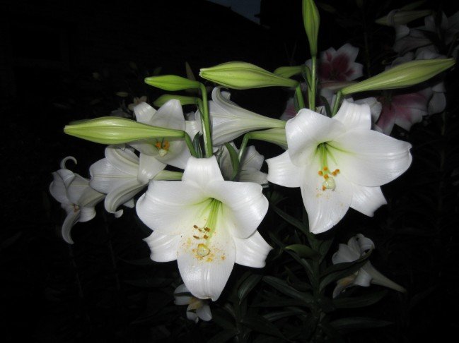 QQ��ͼ20120607215104.jpg