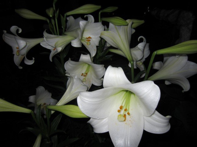 QQ��ͼ20120607215113.jpg