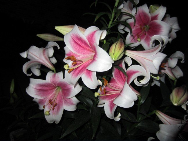 QQ��ͼ20120607215125.jpg