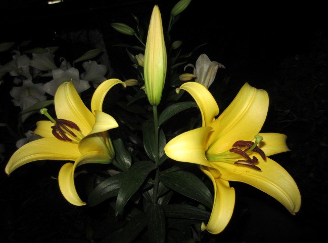 QQ��ͼ20120607215133.jpg