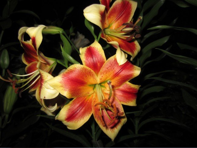 QQ��ͼ20120607215143.jpg