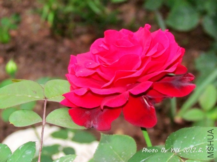 2012.5.7. 081_conew3.jpg