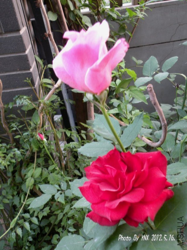 2012.5.16. 031_conew2.jpg