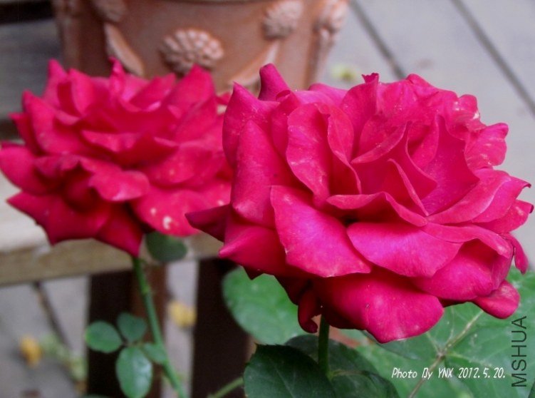 2012.5.20. 061_conew2.jpg