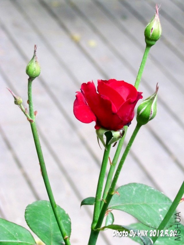 2012.5.20. 062_conew2.jpg