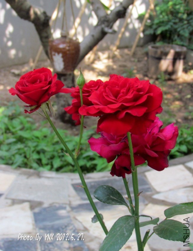 2012.5.27. 055_conew2.jpg