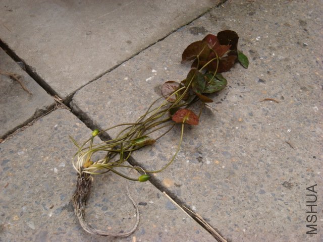 DSC02380.JPG