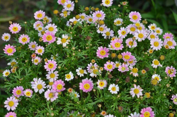 ������С 糺�ɫ�ǹ��������20120608 005.JPG