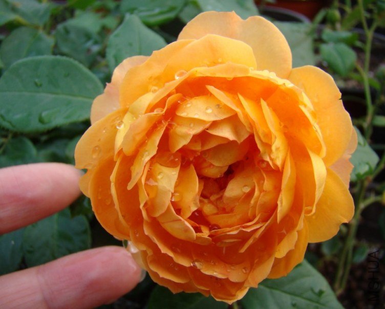 QQ��ͼ20120608111331.jpg