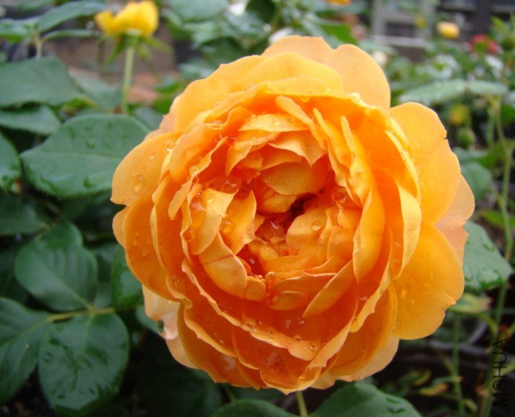 QQ��ͼ20120608105451.jpg