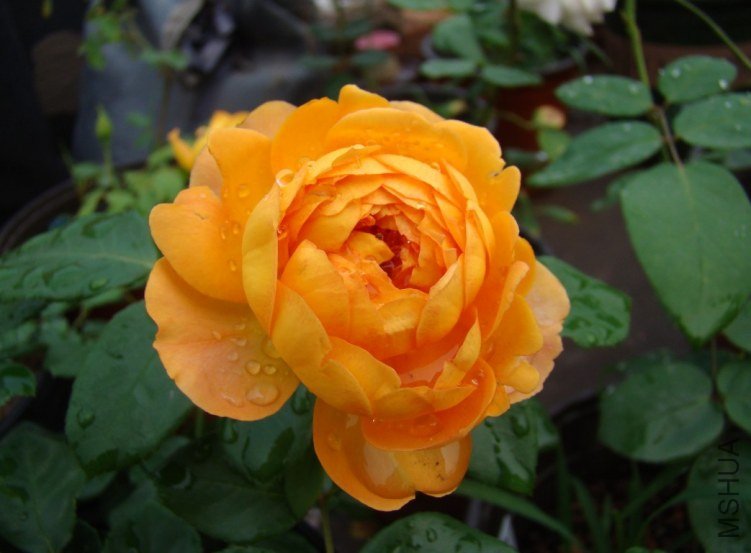 QQ��ͼ20120608105502.jpg