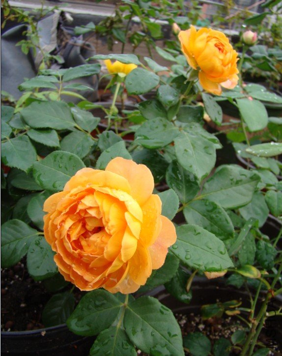 QQ��ͼ20120608105608.jpg