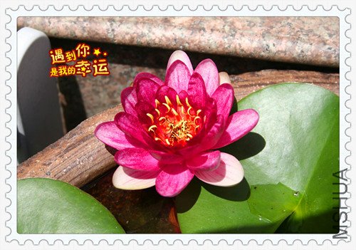 ��Ƭ 038_����˯1.jpg