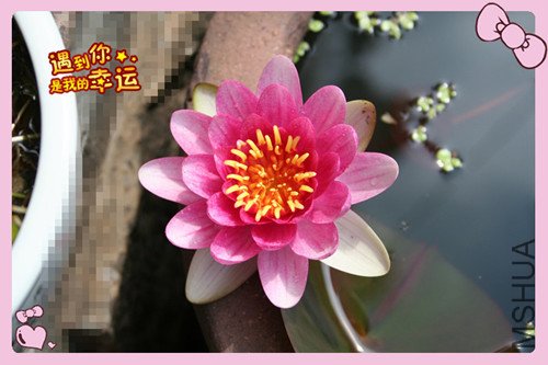 ��Ƭ 037_����˯2_����_����.jpg