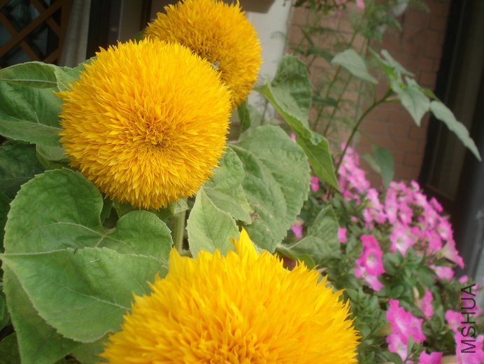 DSC04109.JPG
