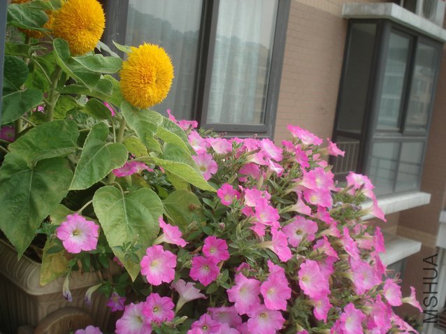 DSC04118.JPG