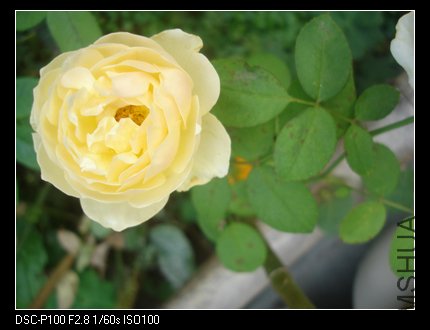 DSC05668_nEO_IMG.jpg
