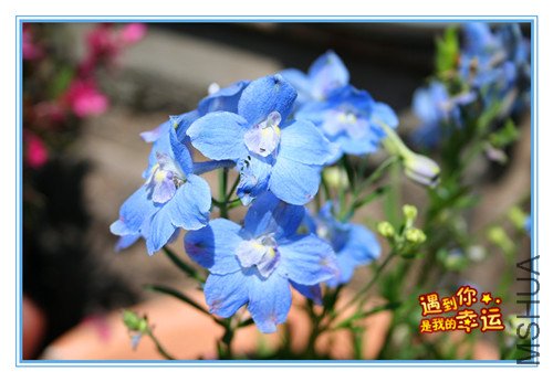 ��Ƭ 052_����������.jpg