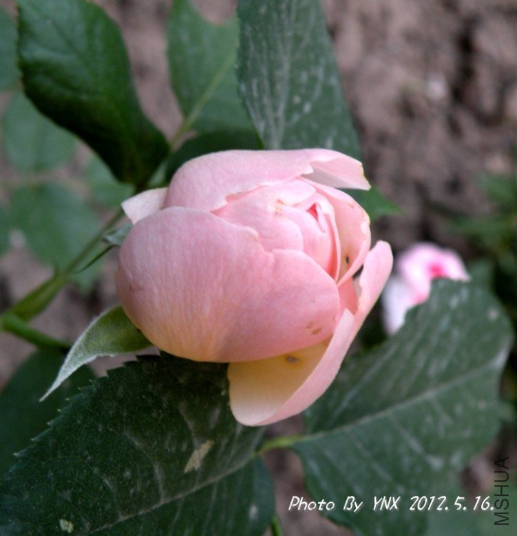 2012.5.16. 009_conew2.jpg