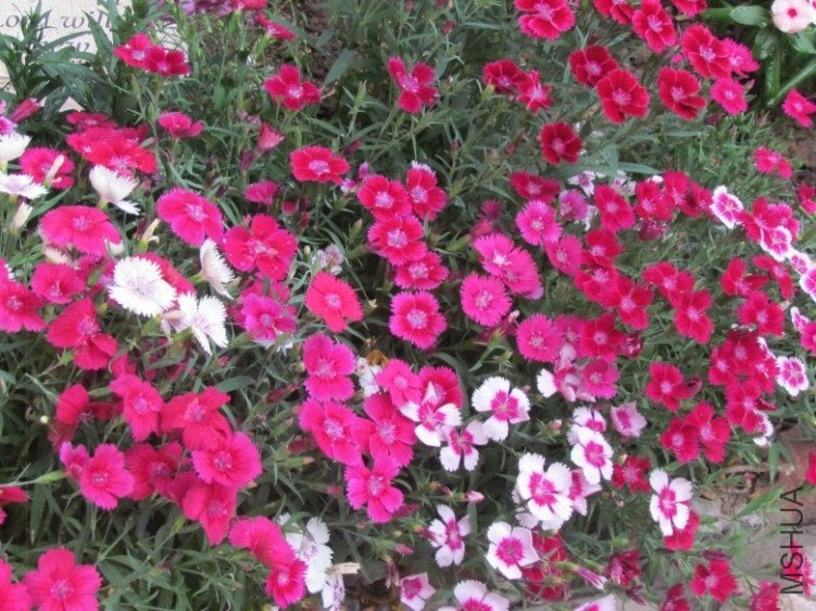 2012.5.24. 004_conew2.jpg