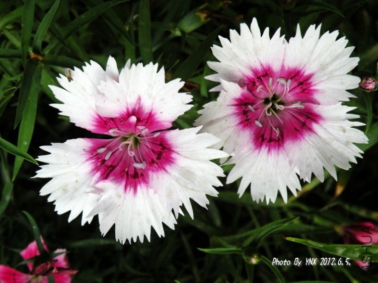 2012.6.5. 009_conew2.jpg