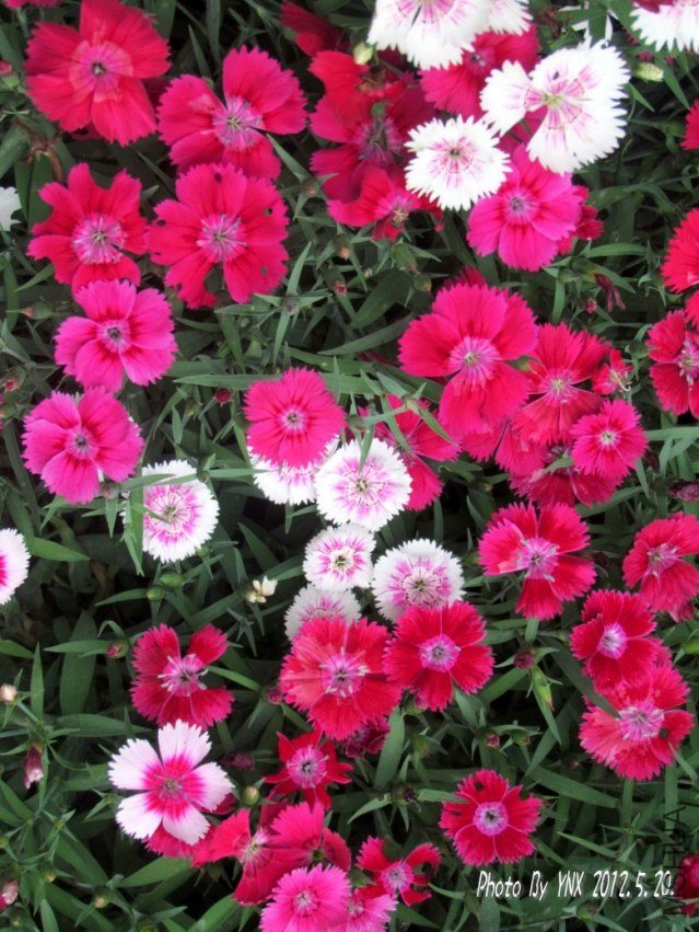 2012.5.20. 031_conew1.jpg