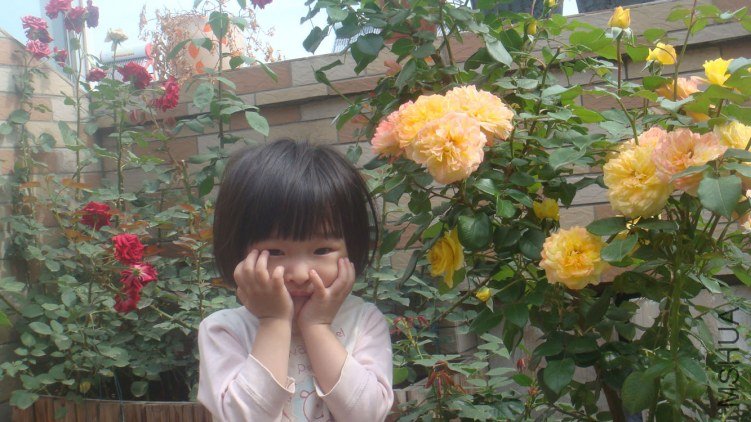 DSC05081.JPG