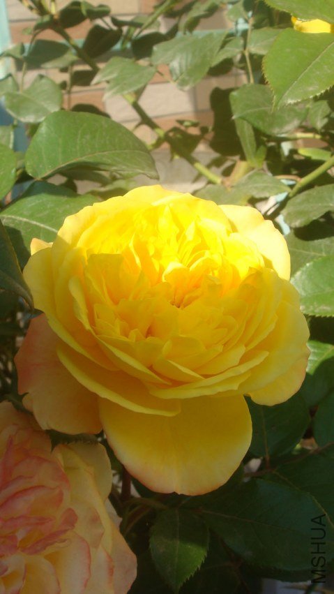 DSC05132.JPG