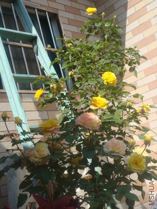 DSC05149.JPG