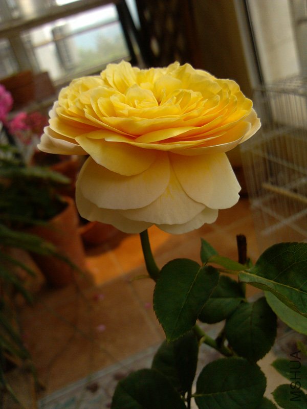 IMG_20120609_101226.jpg
