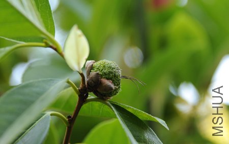 DSC_3623_edited-1.jpg