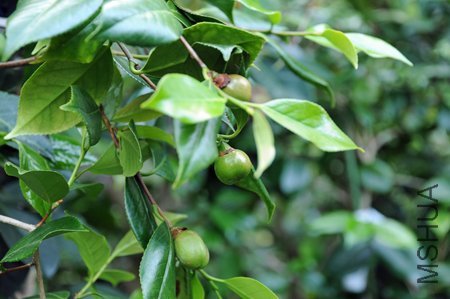 DSC_3625_edited-1.jpg