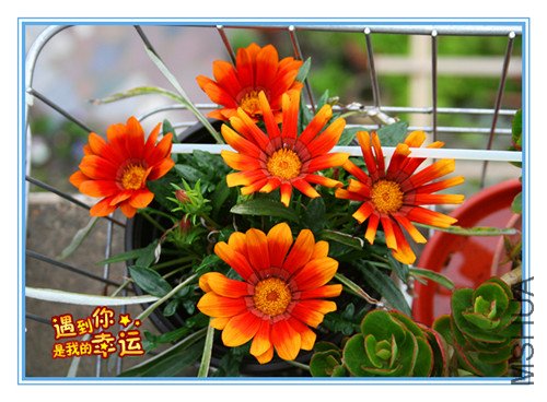 ��Ƭ 119_����.jpg