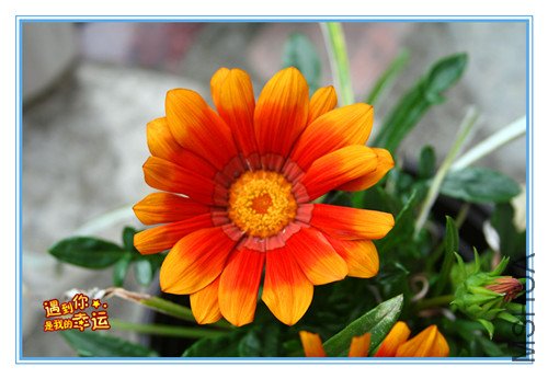 ��Ƭ 122_����.jpg