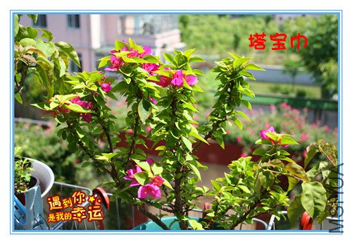 ��Ƭ 061_��������_����.jpg